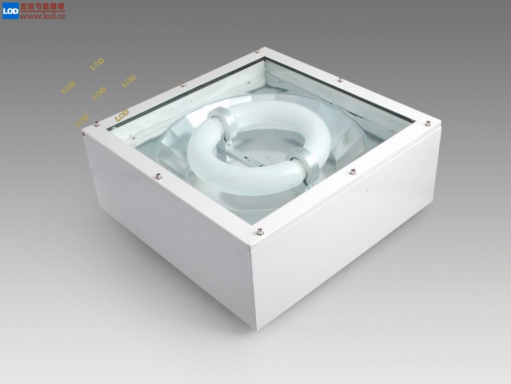 LG0421無(wú)極燈加油站??></a></div></td>
                        </tr>
                        <tr>
                          <td width=