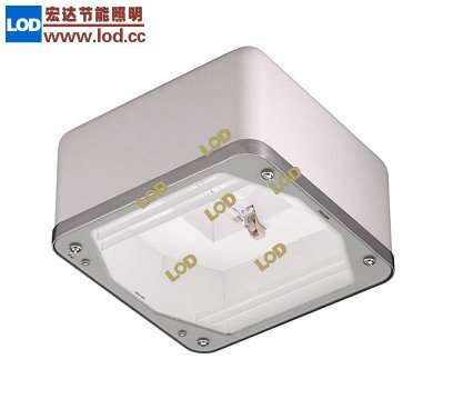 DCP300吸頂式油站燈